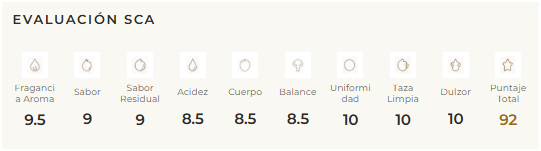 COLOMBIA PINK BOURBON