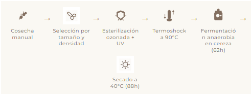 COLOMBIA - TABI