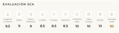 COLOMBIA PINK BOURBON