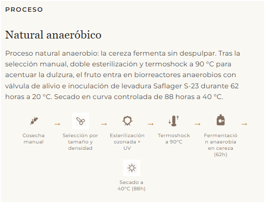COLOMBIA CATURRA-CHIROSO