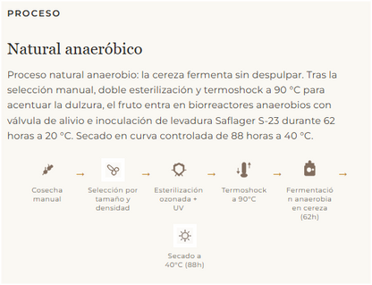 COLOMBIA CATURRA-CHIROSO