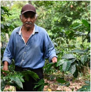 MEXICO - LA SOMBRA