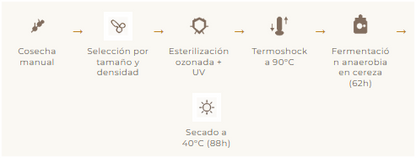 COLOMBIA - TABI