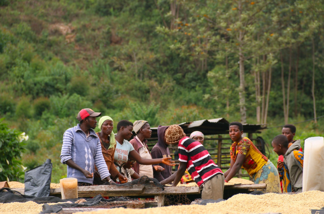 RUANDA - MUHORORO FW