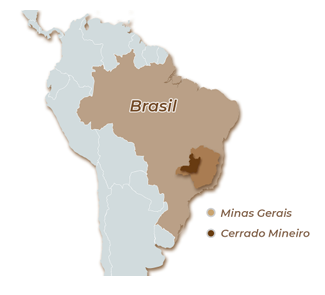 BRASIL FAZENDA MONTE VERDE