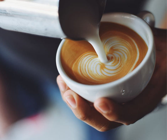 FORMACIÓN BARISTA (12h)