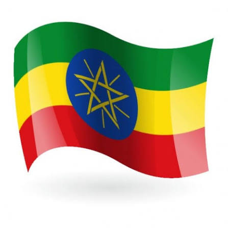 ETIOPIA - SIDAMA AYLA NATURAL